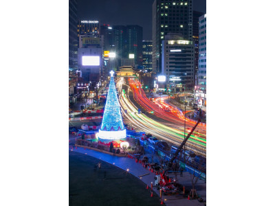 서울광장에 점등된 성탄트리