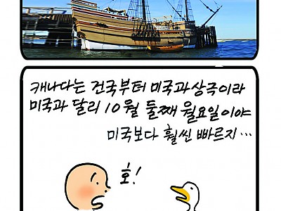 세계의 추수감사절