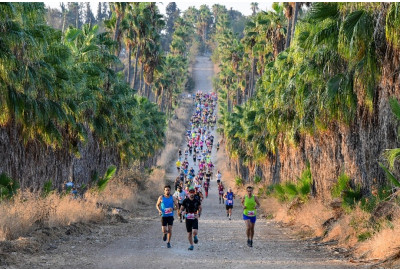 이스라엘 보졸레 <b class=