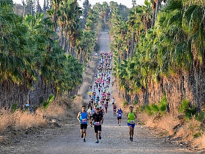 이스라엘 보졸레 마라톤, 와인을 마시면서 마라톤을 즐기다