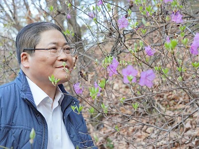 꽃소리 들리는 밤